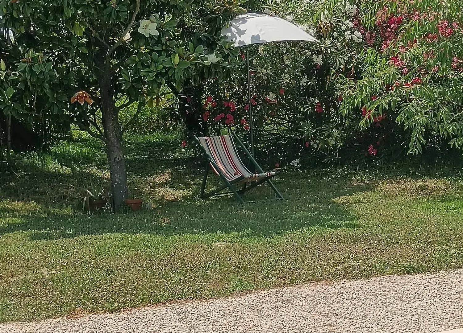 Bed and Breakfast Mas La Buissone à Visan