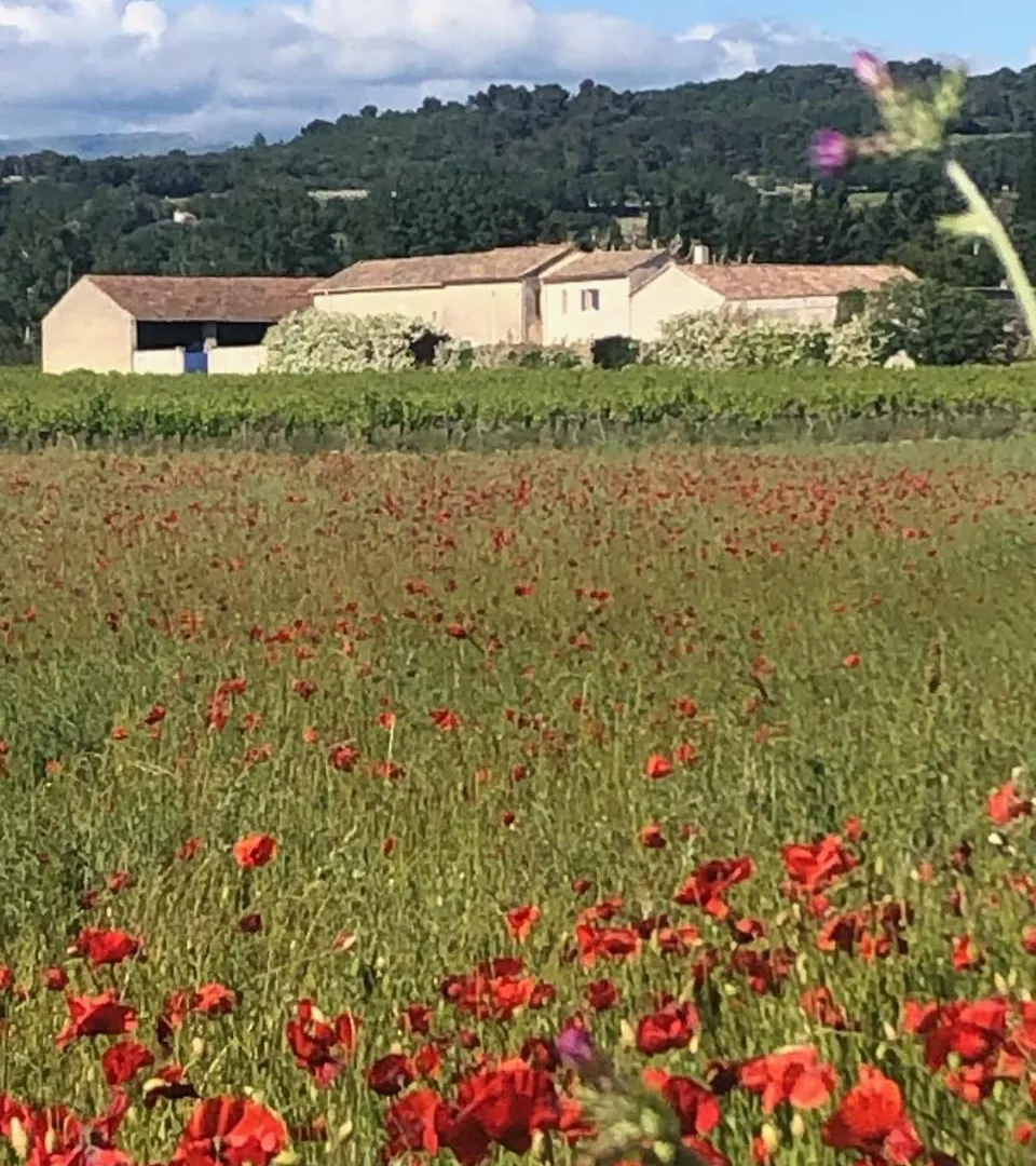 Bed and Breakfast Mas La Buissone à Visan 0*,  France