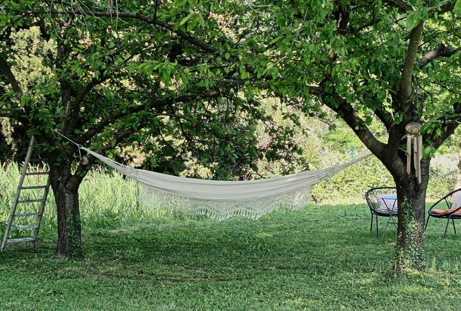 Bed and Breakfast Mas La Buissone Visan Bed & Breakfast